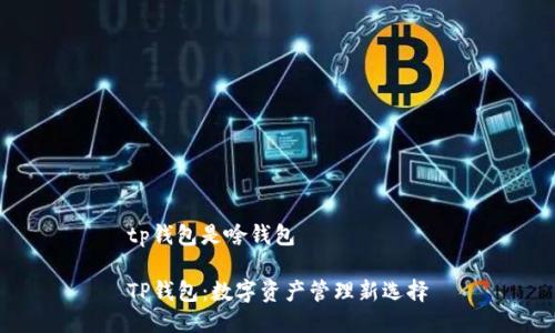 tp钱包是啥钱包

TP钱包：数字资产管理新选择