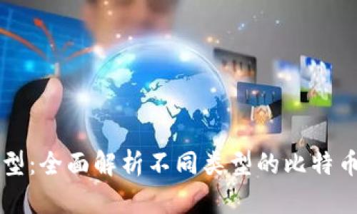 比特币钱包的类型：全面解析不同类型的比特币钱包及其优缺点