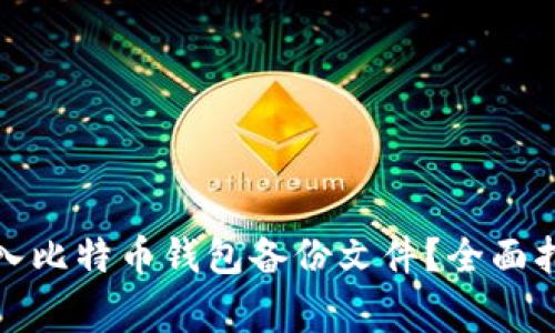 如何安全快捷地导入比特币钱包备份文件？全面指南与常见问题解答
