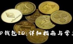 如何查看TP钱包ID：详细指南与常见问题解答