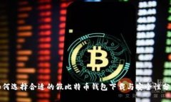 如何选择合适的假比特币