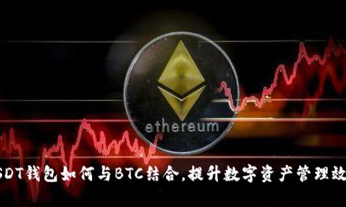 USDT钱包如何与BTC结合，提升数字资产管理效率