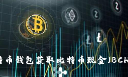 如何通过比特币钱包获取比特币现金（BCH）的详细指南