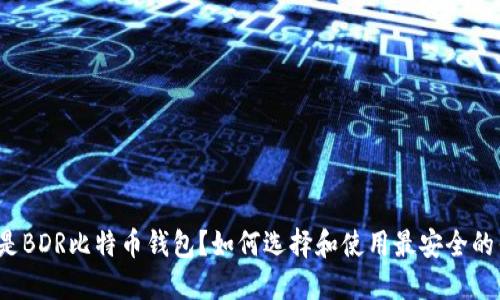什么是BDR比特币钱包？如何选择和使用最安全的钱包？