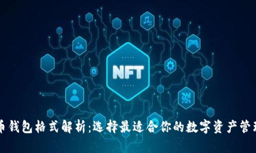 虚拟币钱包格式解析：选择最适合你的数字资产管理方案