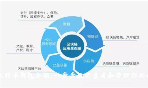 如何获取比特币钱包余额：一步步教你查看和管理你的比特币资产