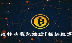 如何寻找富豪的比特币钱