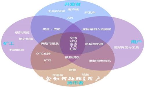 TP钱包跑路后资金如何处理？用户指南与风险防范