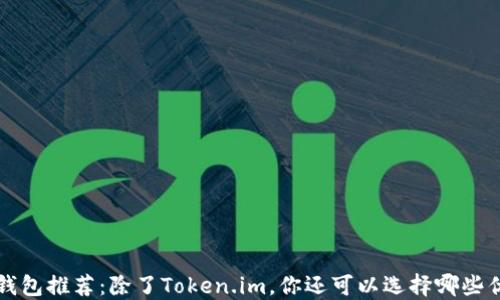 
以太坊钱包推荐：除了Token.im，你还可以选择哪些优质钱包