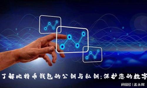 深入了解比特币钱包的公钥与私钥：保护您的数字资产