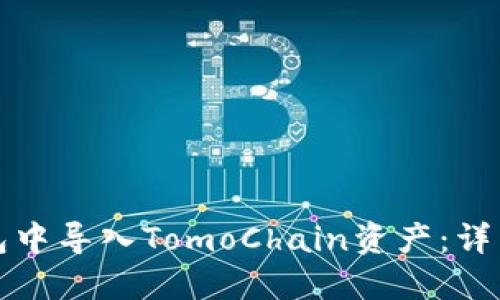 如何在TP钱包中导入TomoChain资产：详细步骤与技巧