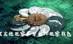 如何高效观察和分析TP观察