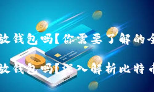 比特币能放钱包吗？你需要了解的全部信息

比特币能放钱包吗？深入解析比特币存储方式