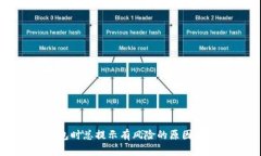 下载TP钱包时总提示有风险