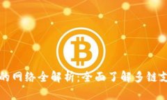 TP钱包支持的网络全解析：全面了解多链支持及其