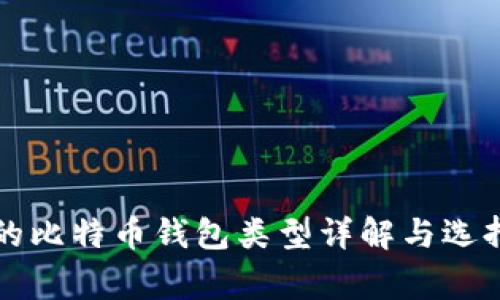 常用的比特币钱包类型详解与选择指南