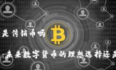 比特币钱包是传销币吗比特币钱包：未来数字货