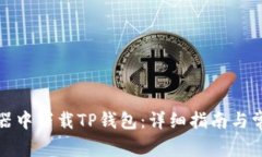 如何在浏览器中下载TP钱包：详细指南与常见问题