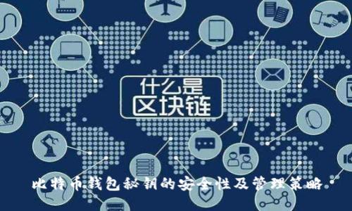 比特币钱包秘钥的安全性及管理策略