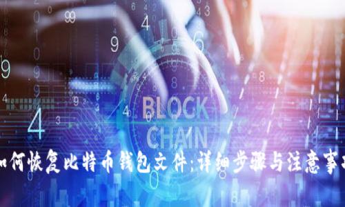 如何恢复比特币钱包文件：详细步骤与注意事项