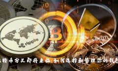 比特币分叉即将来临：如何选择和管理你的钱包