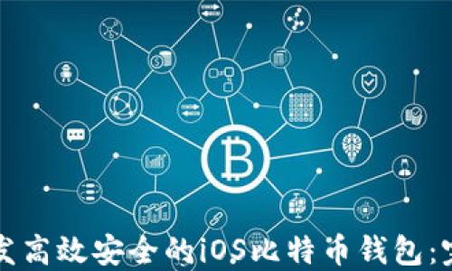 
如何开发高效安全的iOS比特币钱包：完整指南