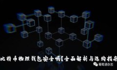 比特币物理钱包安全吗？全面解析与选购指南