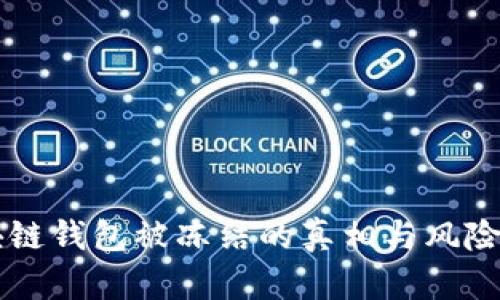 区块链钱包被冻结的真相与风险分析