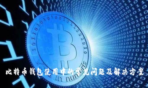 比特币钱包使用中的常见问题及解决方案