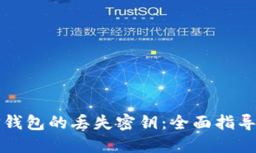 如何找回TP钱包的丢失密钥：全面指导与解决方案