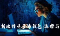 全面解析比特币多币钱包：选择与安全