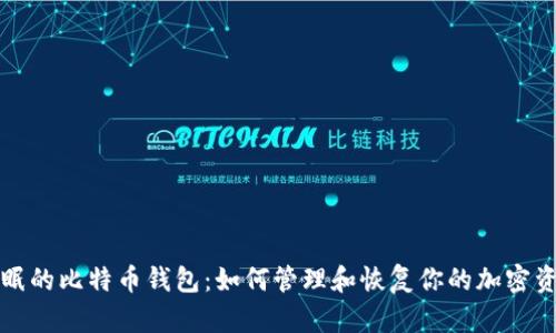 休眠的比特币钱包：如何管理和恢复你的加密资产